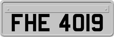 FHE4019