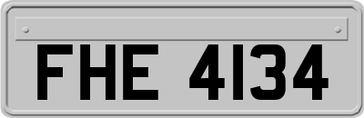 FHE4134