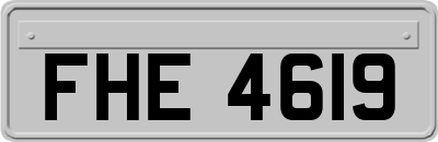 FHE4619