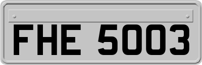 FHE5003
