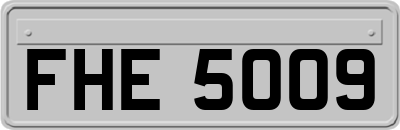 FHE5009