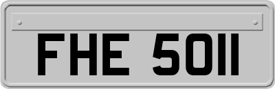 FHE5011