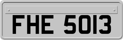 FHE5013