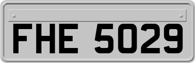 FHE5029