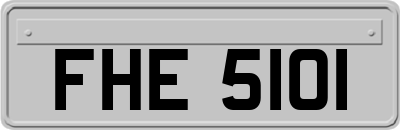 FHE5101