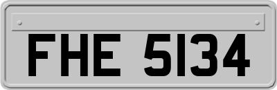 FHE5134