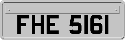 FHE5161