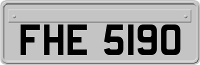 FHE5190