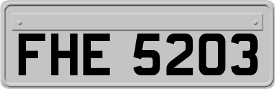 FHE5203