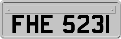FHE5231