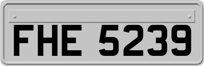 FHE5239