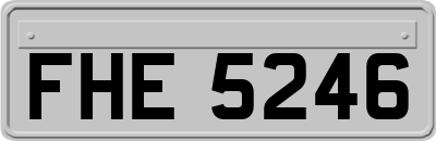 FHE5246