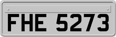 FHE5273