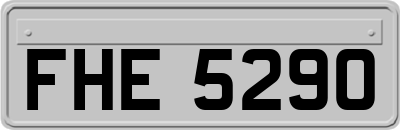 FHE5290
