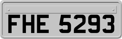 FHE5293