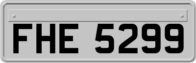 FHE5299