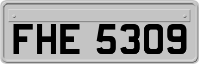 FHE5309