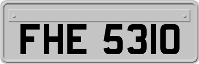 FHE5310