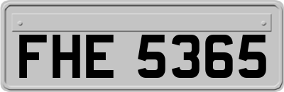 FHE5365