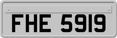 FHE5919