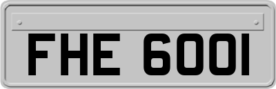 FHE6001