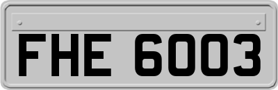 FHE6003