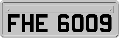FHE6009