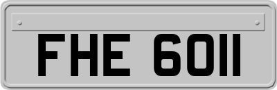 FHE6011