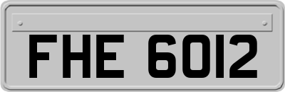 FHE6012