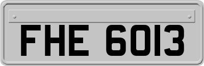 FHE6013