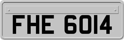 FHE6014