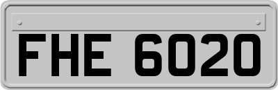 FHE6020