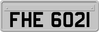 FHE6021