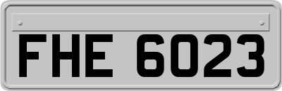 FHE6023