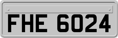 FHE6024