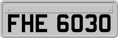 FHE6030