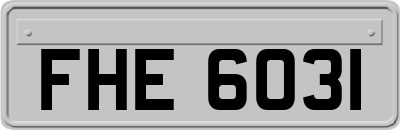 FHE6031