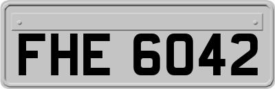 FHE6042