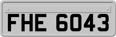 FHE6043