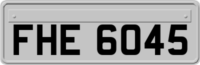 FHE6045