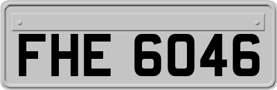 FHE6046