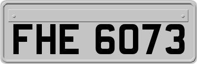 FHE6073