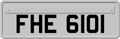 FHE6101