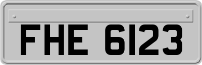FHE6123