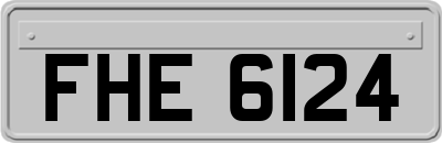 FHE6124