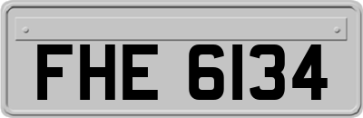 FHE6134