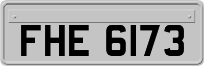 FHE6173