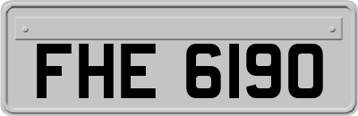 FHE6190