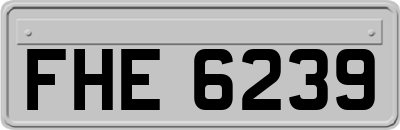 FHE6239