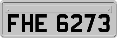FHE6273